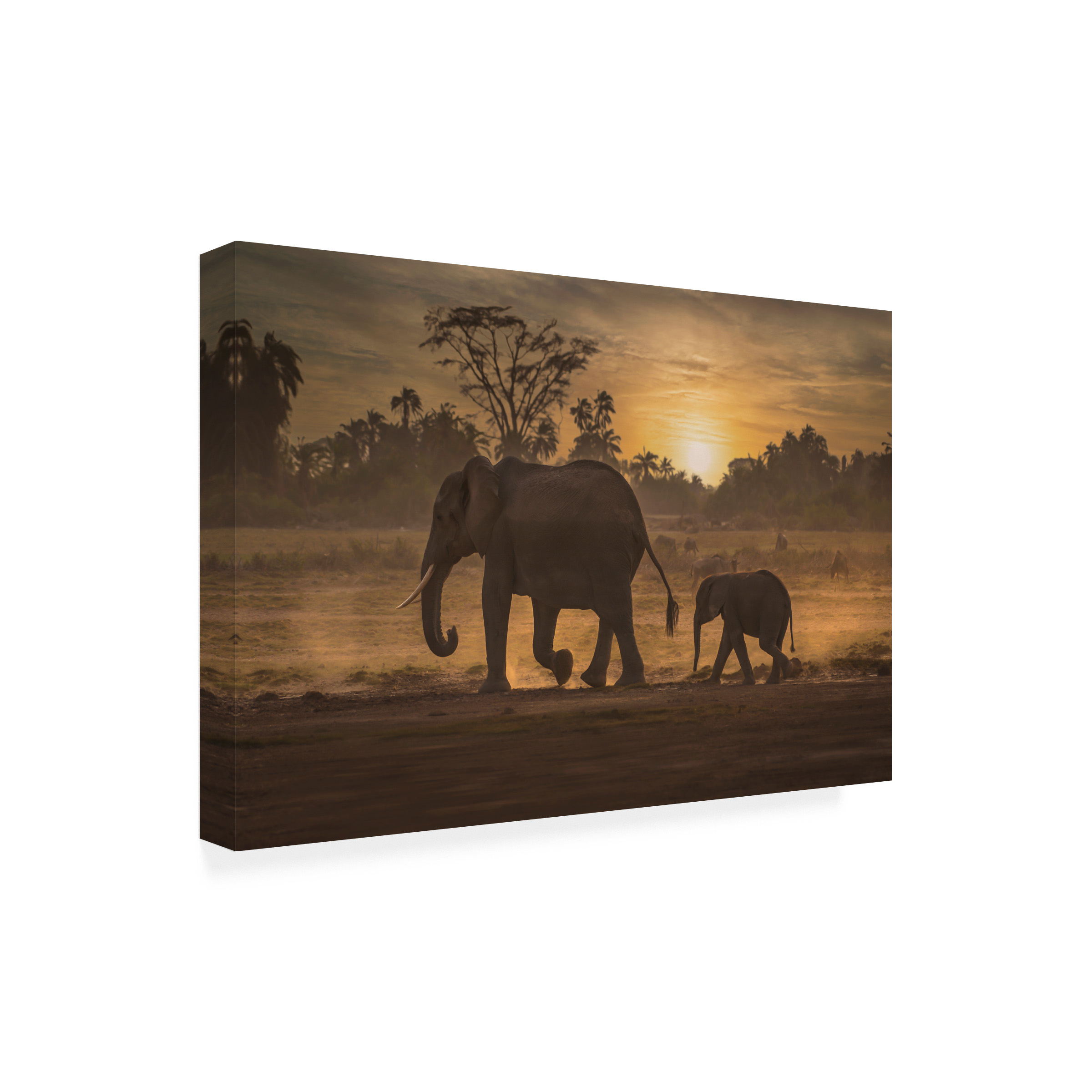 Canvas Wall Art - Isam Telhami 'Follow Me' Wall Art for Living Room, Bedroom, or Office DÃ©cor by Trademark Fine Art - 47 x 30 Inches