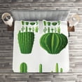 thumbnail image 2 of Ambesonne Cactus Quilted Coverlet 3 Pcs, Hot Mexican Desert, King Size, Green, 2 of 2