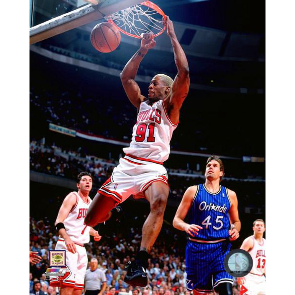 Dennis Rodman 199596 Action Photo Print