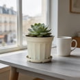 thumbnail image 6 of 9 Inch Flower Pot 1-Pack, Plastic Planter with Drainage Hole & Tray, Indoor Outdoor Plant Pot for House Plants, Garden, Patio, Office, Home Decor – Modern Decorative Plant Container (Yellow), 6 of 6