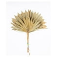 thumbnail image 5 of HeSLehs Decorative Dried Palm Spears l Dried Palm Leaves l Natural Palm Fan l Dried Flowers Arrangement for Home Decor (16-19in Tall, 4-5 Branches per Bunch) (Natural 10'' Wide), 5 of 5