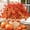 Orange, variant on MACTING Artificial Flowers for Outdoors 6 Bundles Fake Flowers UV Resistant Faux Plastic Plants No Fade for Planters Window Box Patio Porch Garden Yard Indoor Outside Summer Decorations(Mix Color-1)
