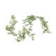 thumbnail image 1 of Hoja de eucalipto rosa enredadera flor artificial rosa hoja de eucalipto enredadera camino de boda Ratán, 1 of 6