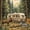 Multicolor 10, variant on Catabedysis Retro Camping Bedding,Wildlife Print Duvet Cover Full For Boys,Multicolor,Black Reversible,3 Pieces,1 Duvet Cover and 2 Pillowcases