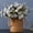White, variant on Fall Flowers Artificial for Decoration, Mums for Outdoor Planters,UV Resistant Gerbera Daisy Chrysanthemum Flowers Fall Decor for Home Garden Patio Front Door Porch,White
