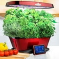 thumbnail image 6 of AeroGarden Gourmet Herb Seed Pod Kit (9-pod), 6 of 6