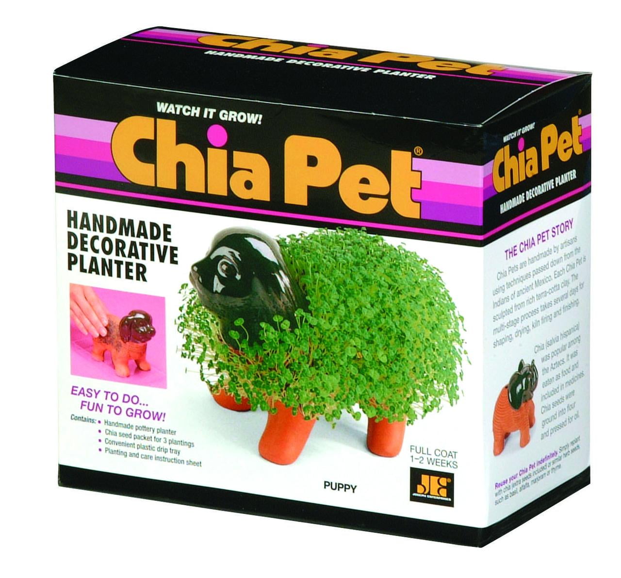 Chia Pet Puppy - Decorative Pot Easy to Do Fun to Grow Chia Seeds