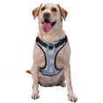 thumbnail image 1 of Fotbe Cute Fat Cat Arnés para Perro con Estampado –Chaleco Ajustable Acolchado con Asa de Control para Perros Grandes-Small, 1 of 6