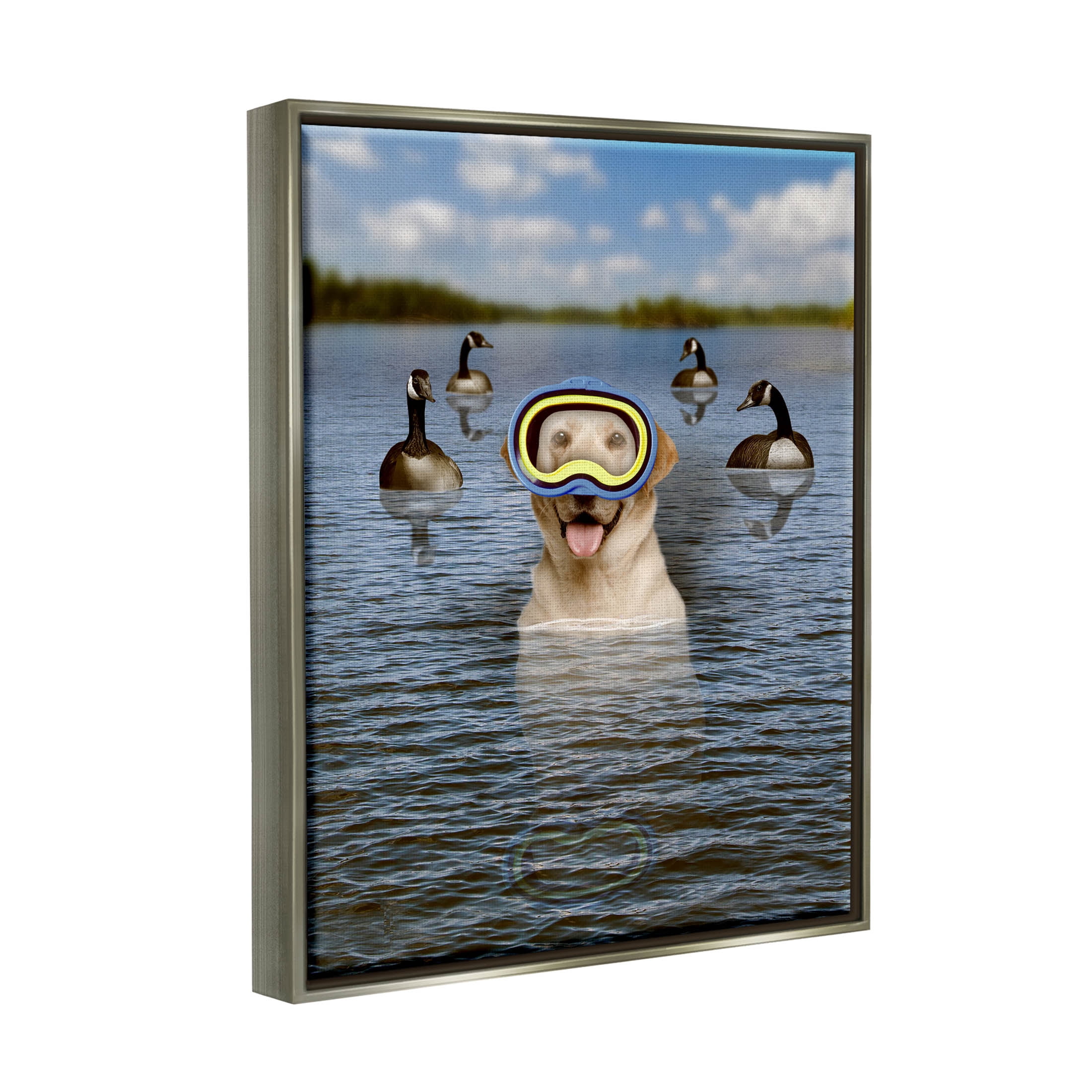 Funny Dog Goggles Swimming Bay Animals & Insects Graphic Art Luster Gray Framed Art Print Wall Art