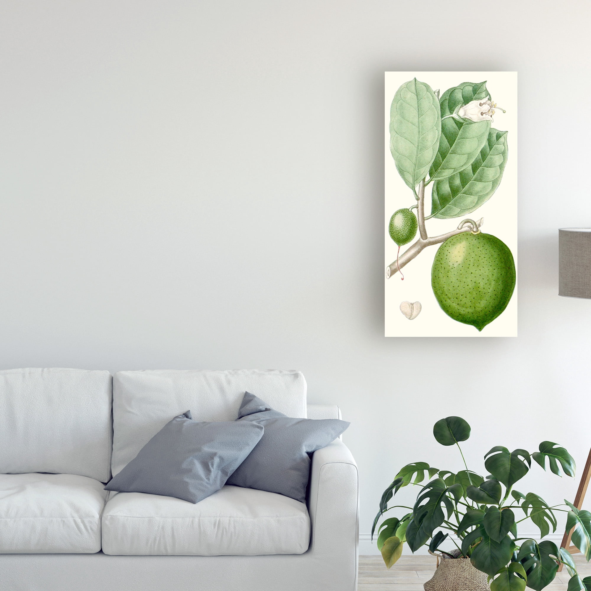 Turpin Fruit III' Canvas Art by Turpin