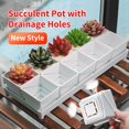 thumbnail image 1 of Succulent Pot Set Cactus Pot Planter Good Air System Breathable Beyond Ceramic Planter Plastic Windowsill Flower Pot, 1 of 7