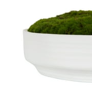 Better Homes & Gardens 8 Faux Moss in Ceramic Bowl