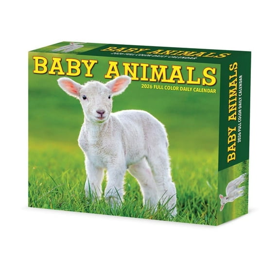 Willow Creek Press, Baby Animals 2026 Desk Calendar, 6.18'' X 5.43'', Daily Calendar with Adhesive Binding