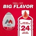 thumbnail image 4 of Mio Liquid Water Enhancer Strawberry Watermelon (Pack of 24), 4 of 8