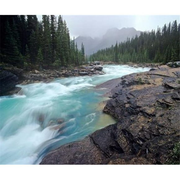 Posterazzi PDDCN01CHA0089 Rivière Mistaya dans le Parc National de Banff en Alberta Canada Affiche Imprimée par Chuck Haney - 36 x 30 Po.