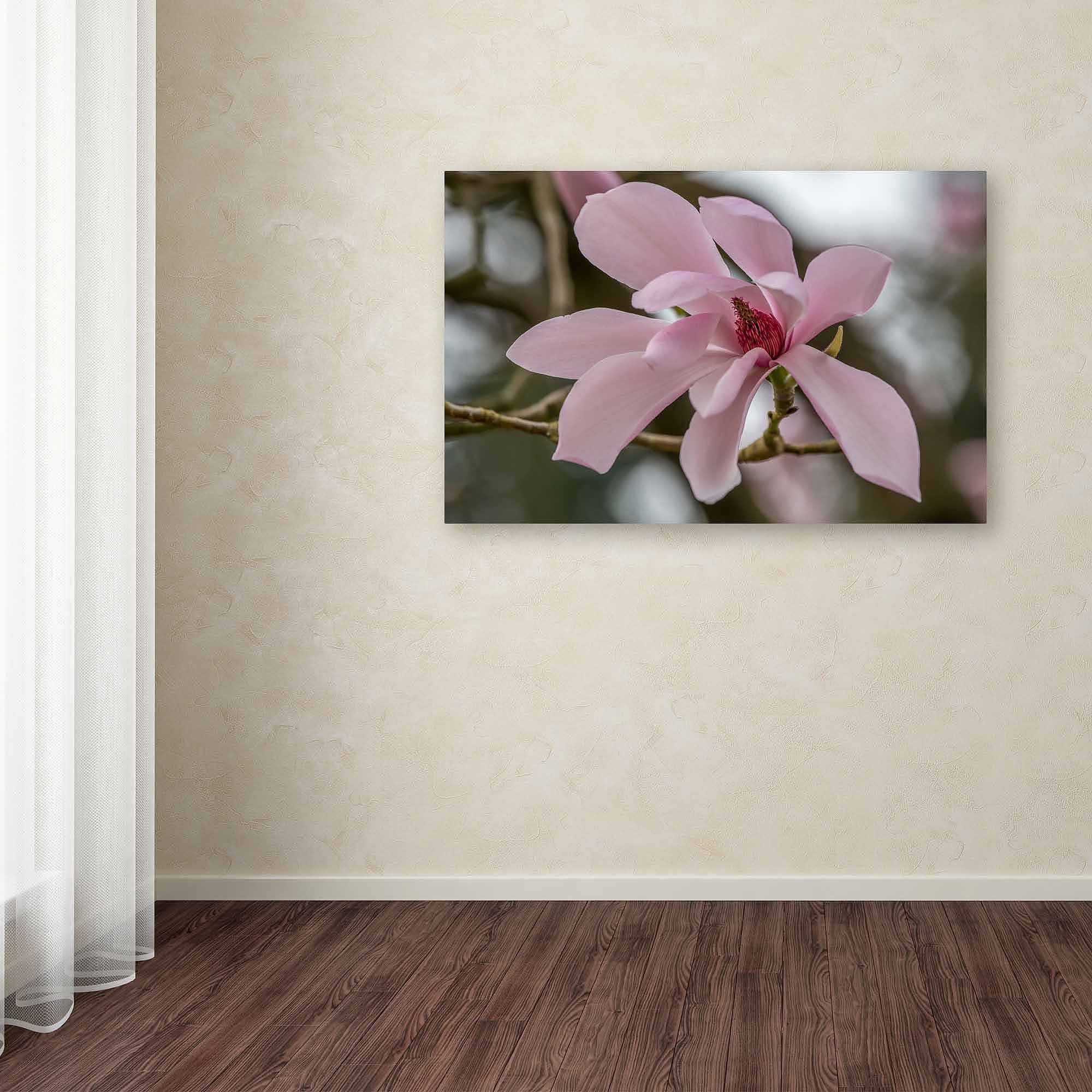 Trademark Fine Art "Magnolia" Canvas Art by Pierre Leclerc