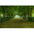thumbnail image 2 of Lake, Shelley 14x11 White Modern Wood Framed Museum Art Print Titled - French Gardens, 2 of 4