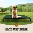 thumbnail image 2 of Cama Elevada para Perros Czpalo para Perros Grandes hasta 40 kg con Malla, 2 of 6