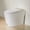 Brushed Gold, variant on Modern One-Piece Toilet with Pressure-Assisted Flush, Hands-Free Foot Kick & Button Flush, 1.0 GPF WaterSense, 1000g MaP Flush, Soft Close Seat