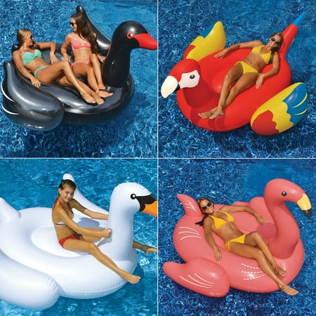 Swimline Giant Swan, Flamingo, Black Swan, and Parrot Floats for Swimming Pools