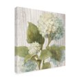 thumbnail image 2 of Trademark Fine Art 'Scented Cottage Florals IV' Canvas Art by Danhui Nai, 2 of 3