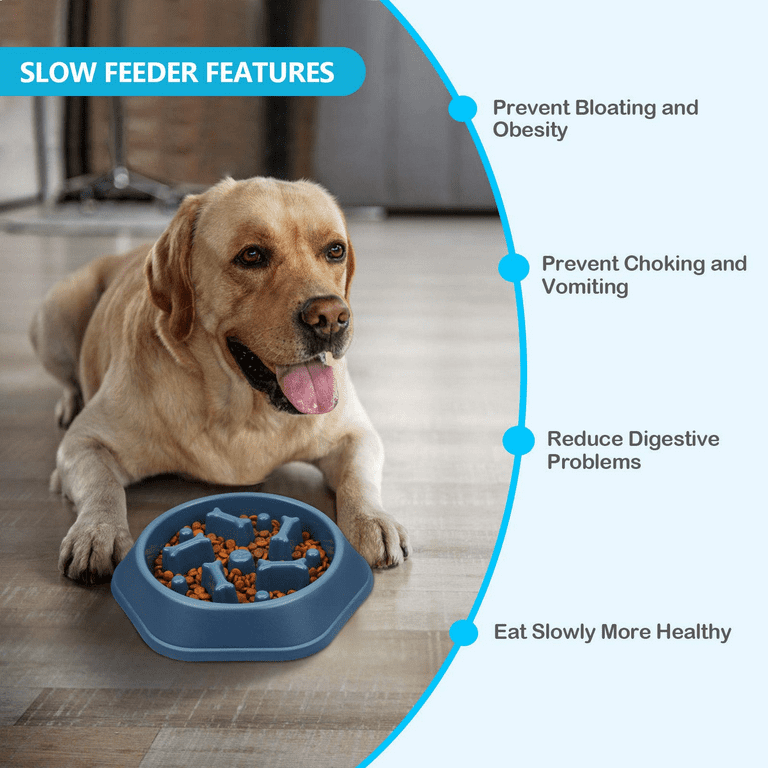Kzeipio Slow Feeder Dog Bowl, BPA, PVC & Phthalate-Free, POLYESTER, Controlled Eating Duration, Non-Slip Design