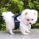 thumbnail image 5 of Arnés Con Lazo Dulce Para Perro Y Gato, Correa Para Cachorro, Arneses Para Perros Pequeños, Chaleco Para Chihuahua, Yorkshire, Suministros Para Perros Kearding PT002368-05, 5 of 6