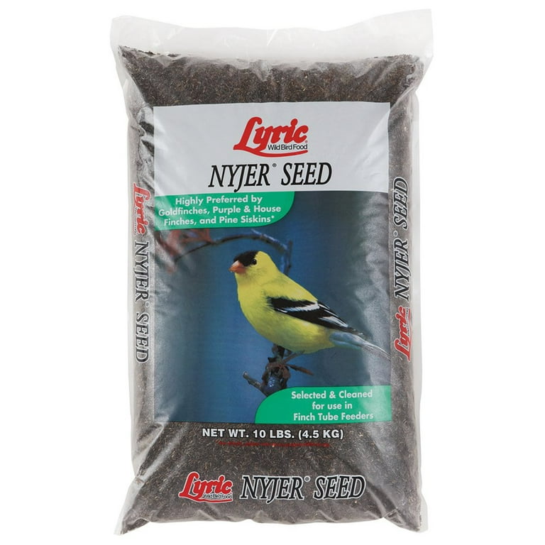 Lyric Nyjer Wild Bird Seed Finch Food 10 lb. Bag