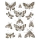 thumbnail image 2 of Vintage Butterfly and Moth T-Shirt, Cottagecore Aesthetic Retro Shirt, Aesthetic Tshirt, Cute Butterfly Lover Shirt, Cottage Core Y2k Shirt Tropical, 2 of 7