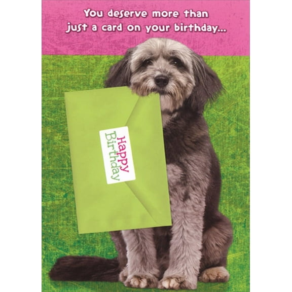 Designer Greetings Dog Holding Green Envelope in Mouth Funny : Humorous Birthday Card