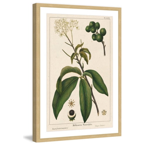 Marmont Hill "Honeyberry" Framed Painting Print