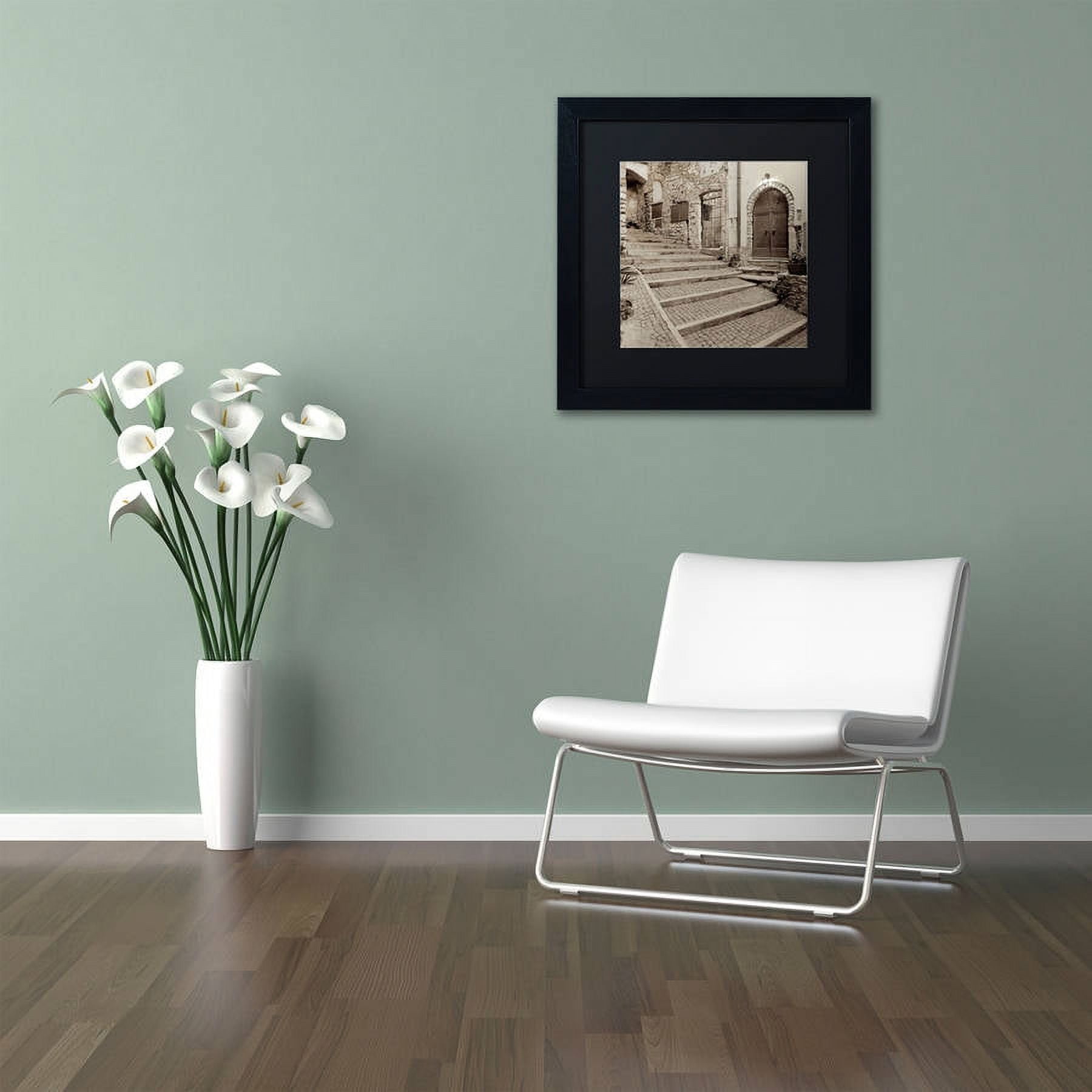 Trademark Fine Art "Lombardy I" Canvas Art by Alan Blaustein, Black Matte, Black Frame