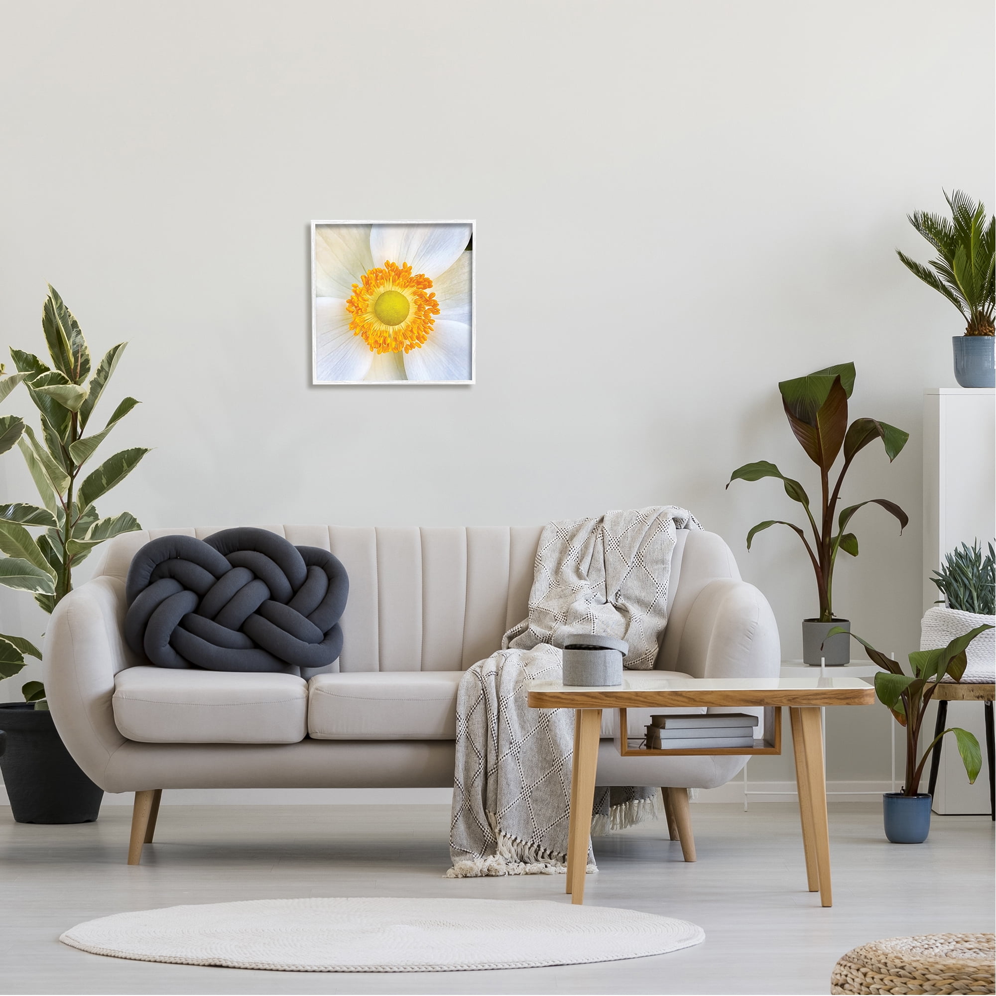 Stupell Industries White Flower Close Up Botanical & Floral Photography White Framed Art Print Wall Art, 17 x 17