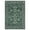 Green, variant on Hasoo Washable Living Room Area Rug 8x10 Large Modern Floral Soft Stain Resistant Indoor Green Carpet