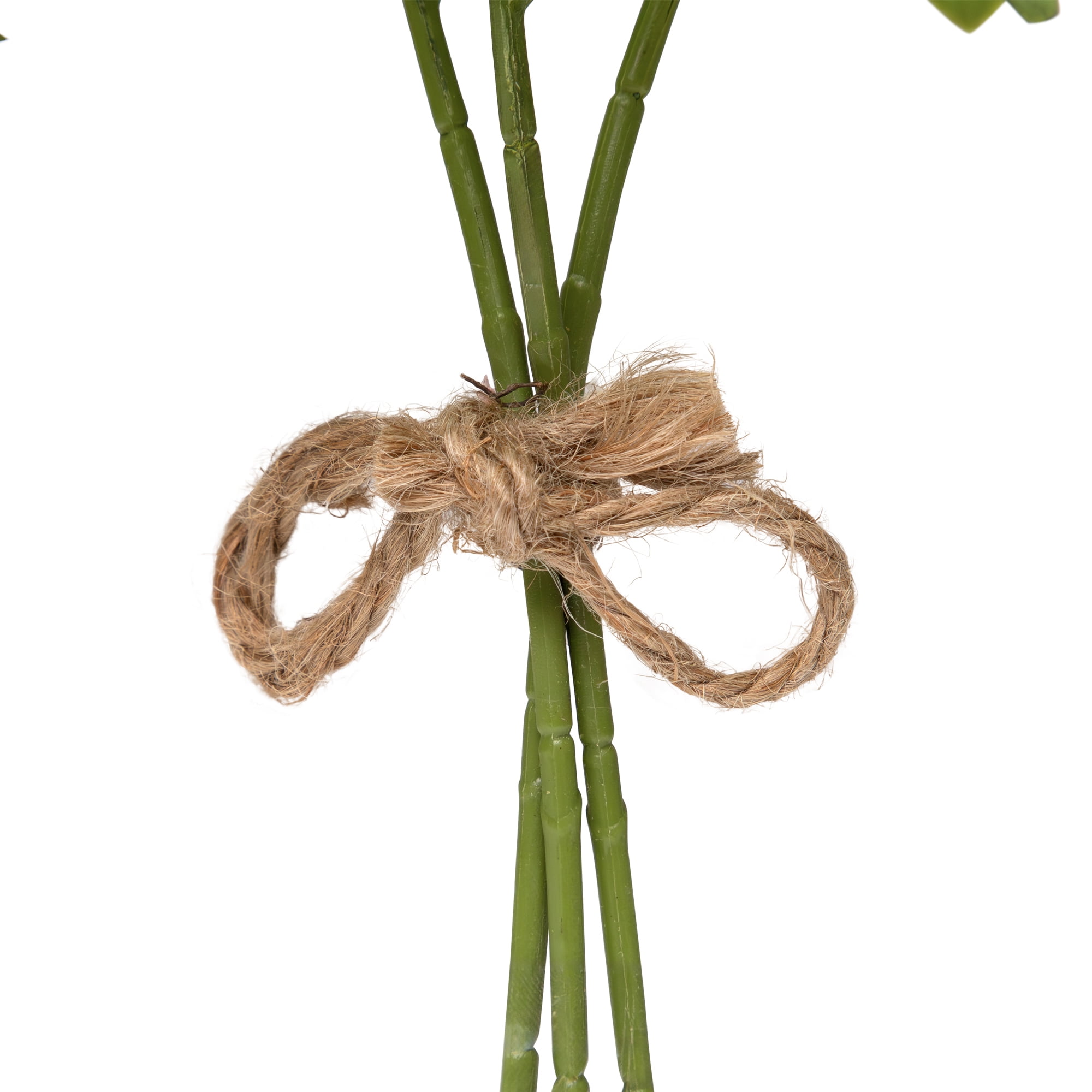 Northlight Japanese Boxwood Leaf Artificial Bundles - 15" - Set of 6