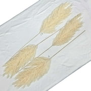 Extra Large Pampas Grass Branch Beige - Threshold - 4 Pack