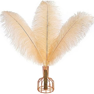 Holmgren White Ostrich Feathers Bulk - 20pcs Making Kit 22 Inch
