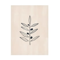 Trademark Fine Art Ivy Green Illustrations Olive Branche Canvas Wall Art