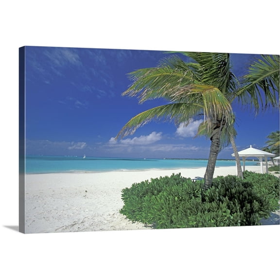 Great BIG Canvas | "Bahamas, Long Island, Cape Santa Maria. Palms along the pristine beach" Canvas Wall Art - 48x32