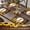 Brown, variant on MIZHONA Wooden Placemats Set of 4 Brown Wood and Sunflowers Linen Table Place Mats for Dining Table Decorations 12x18 in