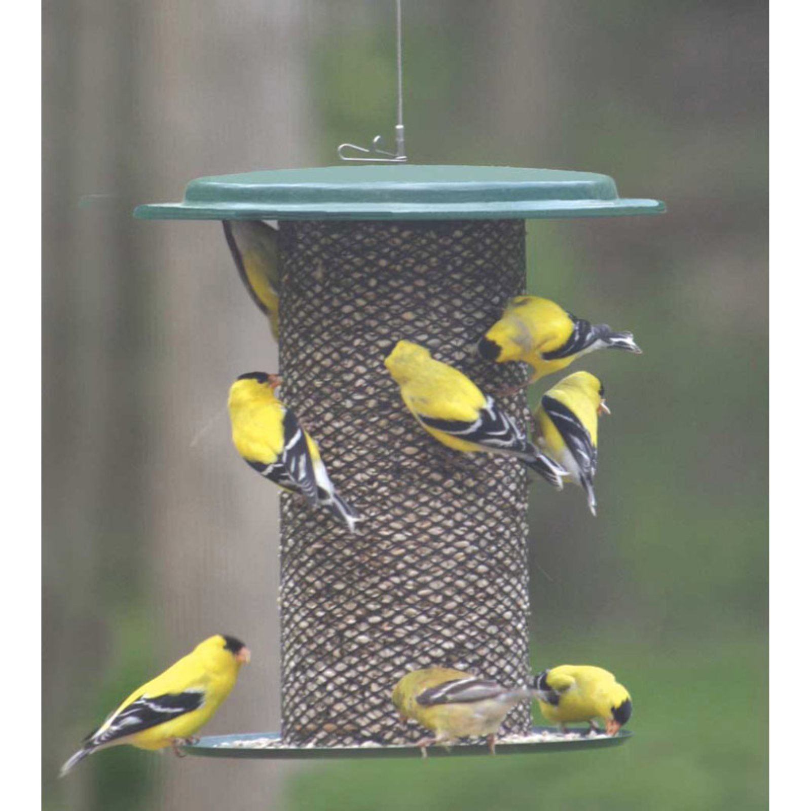 Birds Choice Mesh Safflower Bird Feeder