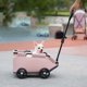 thumbnail image 2 of Carrito para Cachorros Y Gatos Bebé Con 4 Ruedas Ideal Salidas Pequeñas, 2 of 9