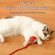 thumbnail image 5 of Pelota Rodante Interactiva para Gatos Super Drive, Pelotas Rodantes para Gatos con Sensor de Movimiento Activado por el Canto de los Pájaros, Juguete para Gatitos, 5 of 8