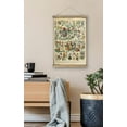 thumbnail image 5 of SYDposter Vintage Poster,Rustic Art Prints, Retro Style of Wall Hanging for Living Room Office Classroom Bedroom Playroom Apartment Decor. (Botany of Flower 1Panels, 16\u201c x 24\u201d), 5 of 7
