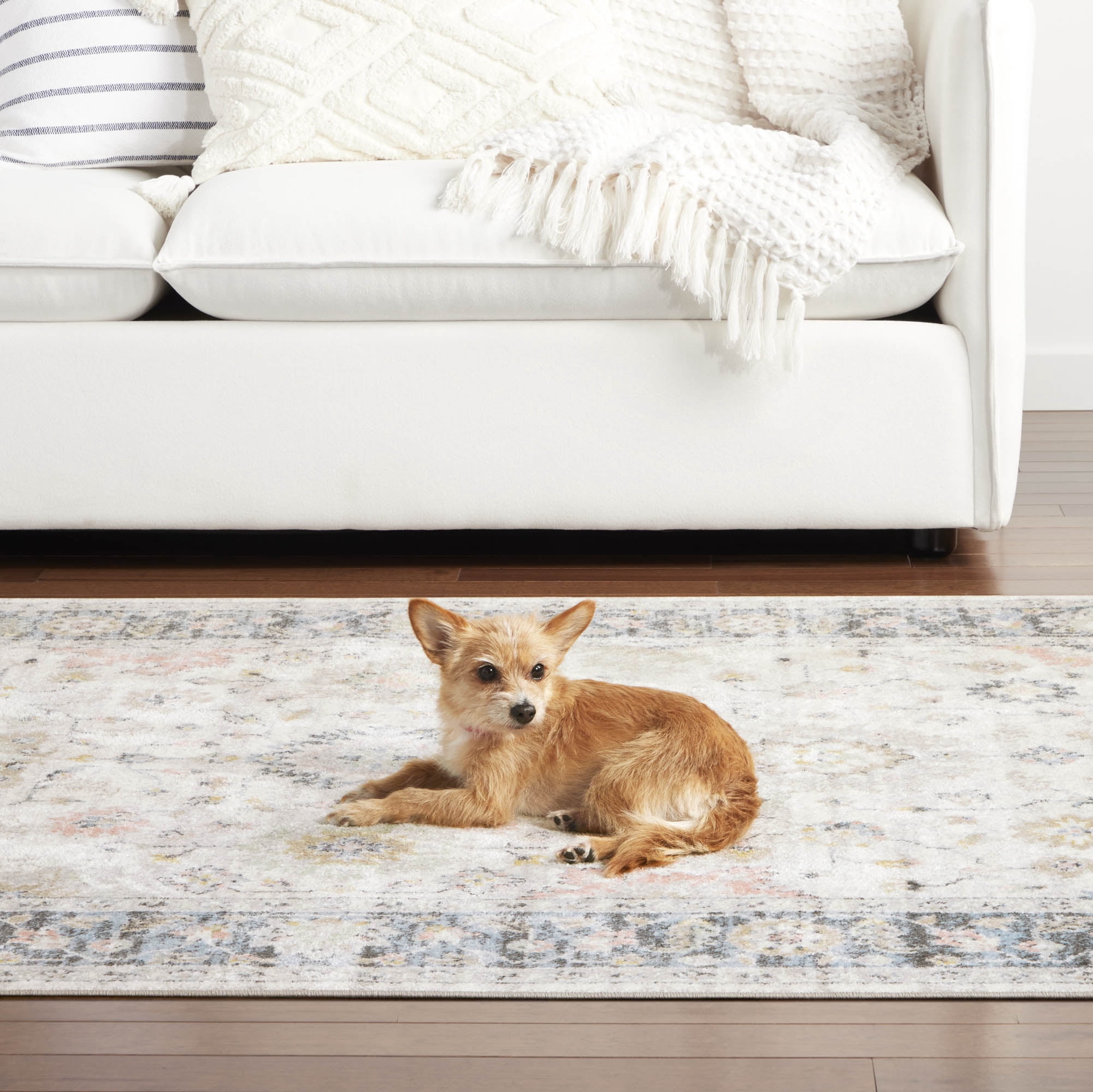 Everwash Treasure Lina Traditional Medallion Machine Washable Indoor Area Rug, Ivory/Blue, 5'2"x7'2"