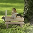 thumbnail image 6 of OAVQHLG3B Squirrel Feeder ,Wooden Squirrel Picnic Bench,Squirrel Feeder for Tree Deck Fence,Chipmunk Bench Feeders House, 6 of 8