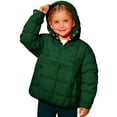 thumbnail image 2 of Abrigo de invierno para niños de 4 a 14 años, chaquetas acolchadas para actividades al aire libre, blusa para niña, 2 of 9