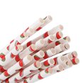 thumbnail image 3 of Pajitas de papel biodegradables con diseño de frutas para bebidas, 50 Uds., para Picnic en fiestas en la playa, 3 of 8