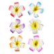 thumbnail image 1 of Pasadores de pelo hawaianos de 6,35 cm con forma de flor para mujer. Combina vestidos hawaianos Luau para mujer, 6 pinzas para el pelo para cabello fino, pinzas para el pelo para niñas, Plumeria Hawai, 1 of 2