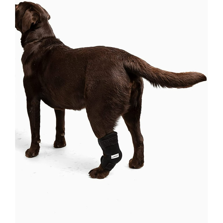 Labra leg sale brace